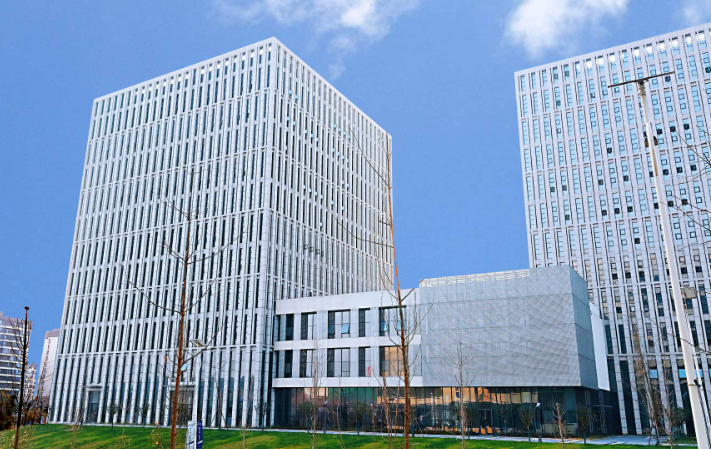 政企信息管理系统定制开发全流程与技术要点解析
